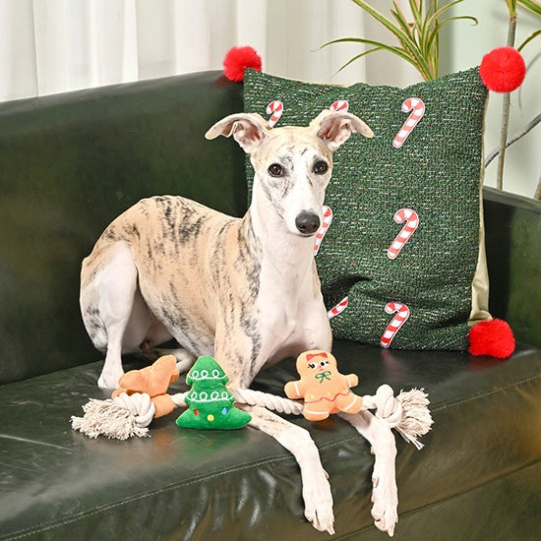 Happy Woofmas | Holiday Gingerbread Man