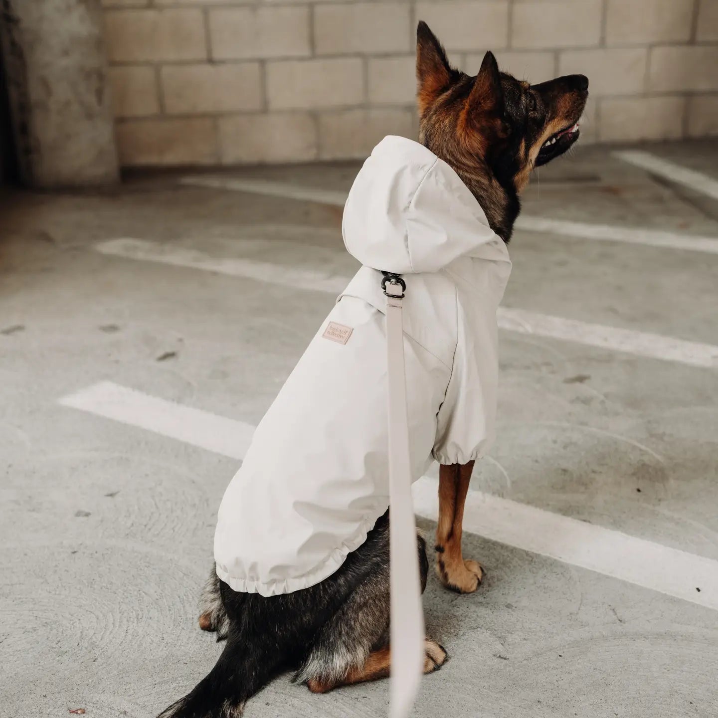 Brighton Rain Coat