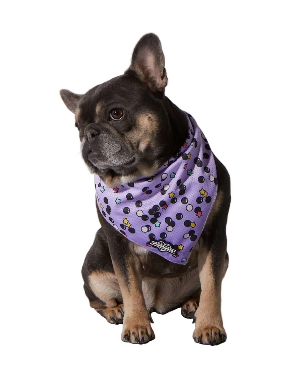 Cooling Bandana