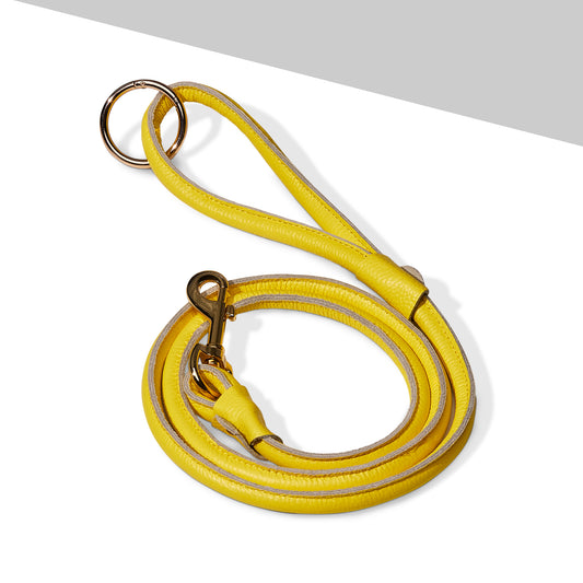 Chic Leather Leash - Yellow