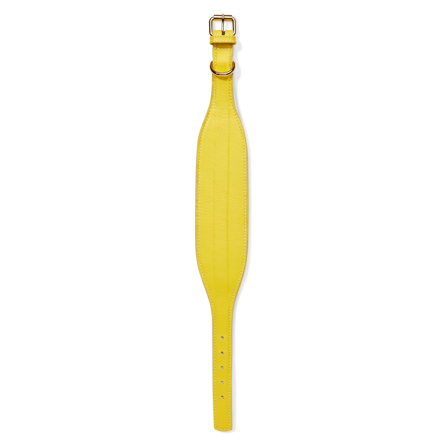 Hound Leather Collar - Yellow