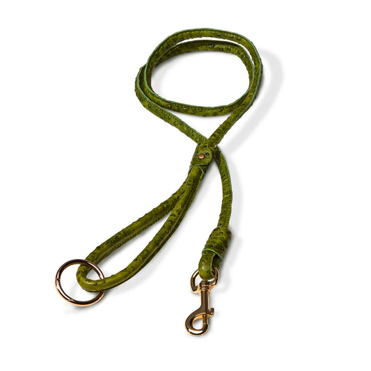 Punk Leather Leash - Green