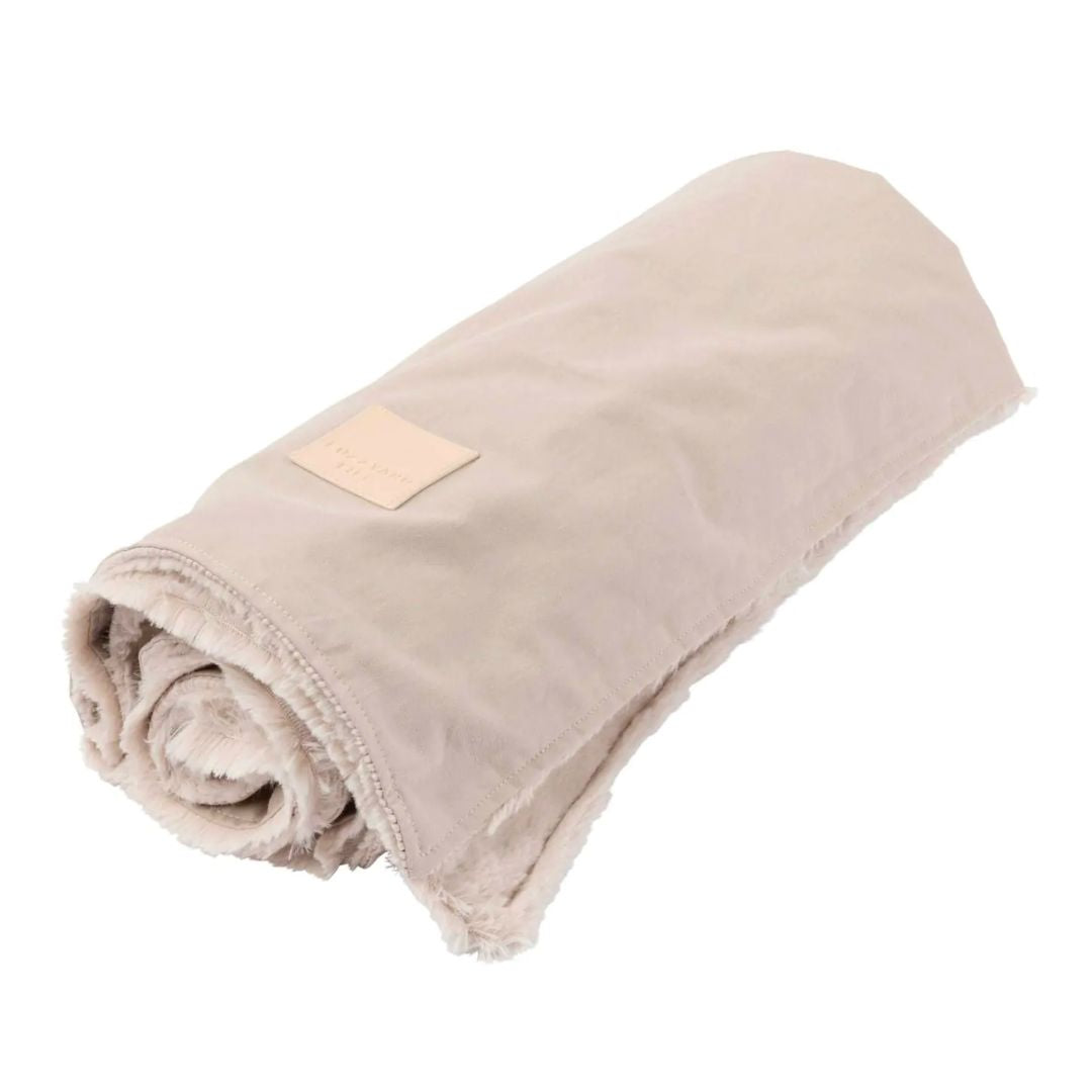 Cozy Dog Blanket Sandstone Now You're Clean