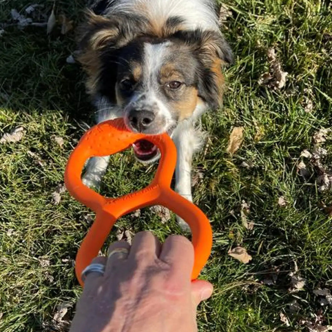 Tall Tails: Goat Natural Rubber Tug Dog Toy