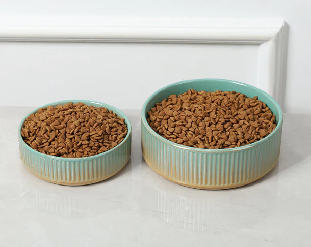 Skandi Pet Bowl - Green