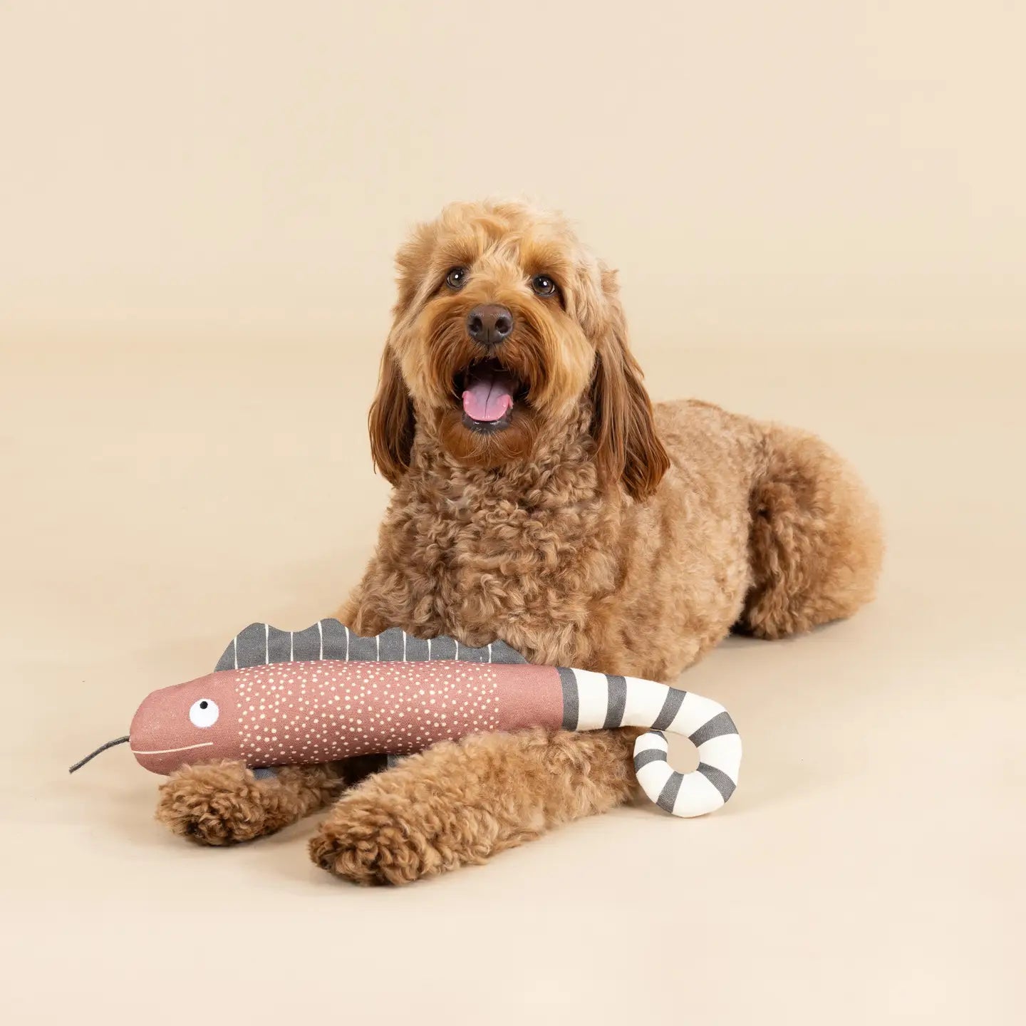 One in The Chameleon - Canvas Squeaker Dog Toy