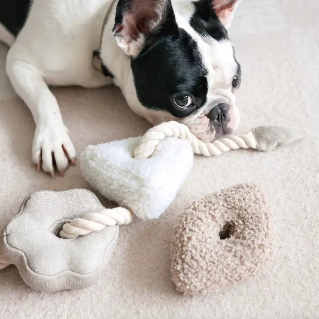 Rope Blocs//Enrichment Dog Toy