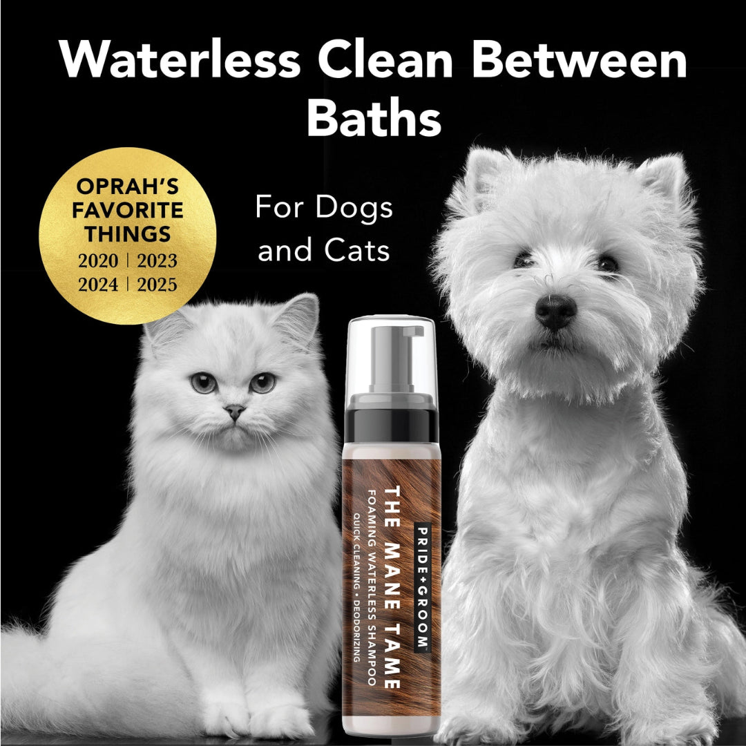 The Mane Tame, Waterless Dry Shampoo