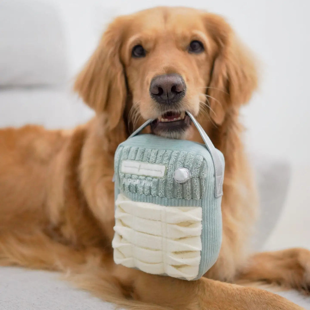 Woof FM //Enrichment Dog Toy