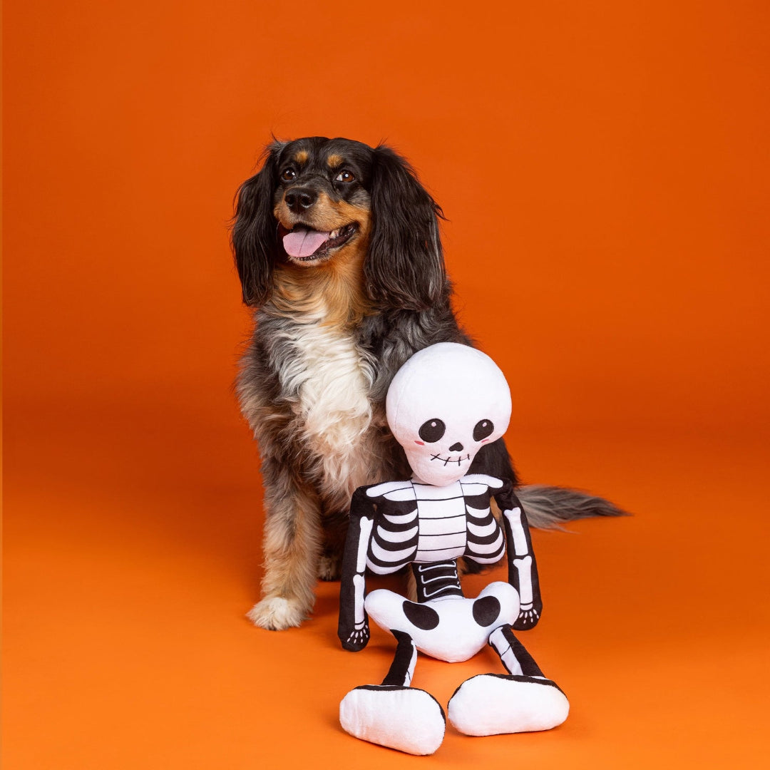 Bone To Be Wild Extra Large Plush Dog Toy