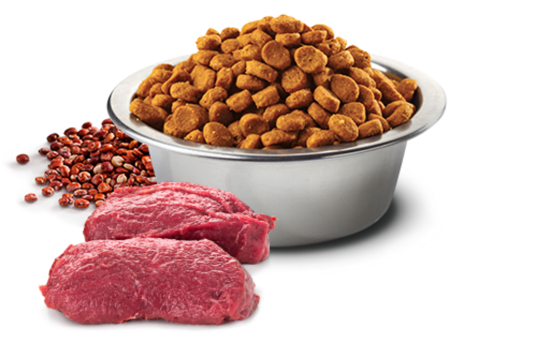 FARMINA N&D Quinoa - Skin & Coat Venison - Grain Free 5.5lb