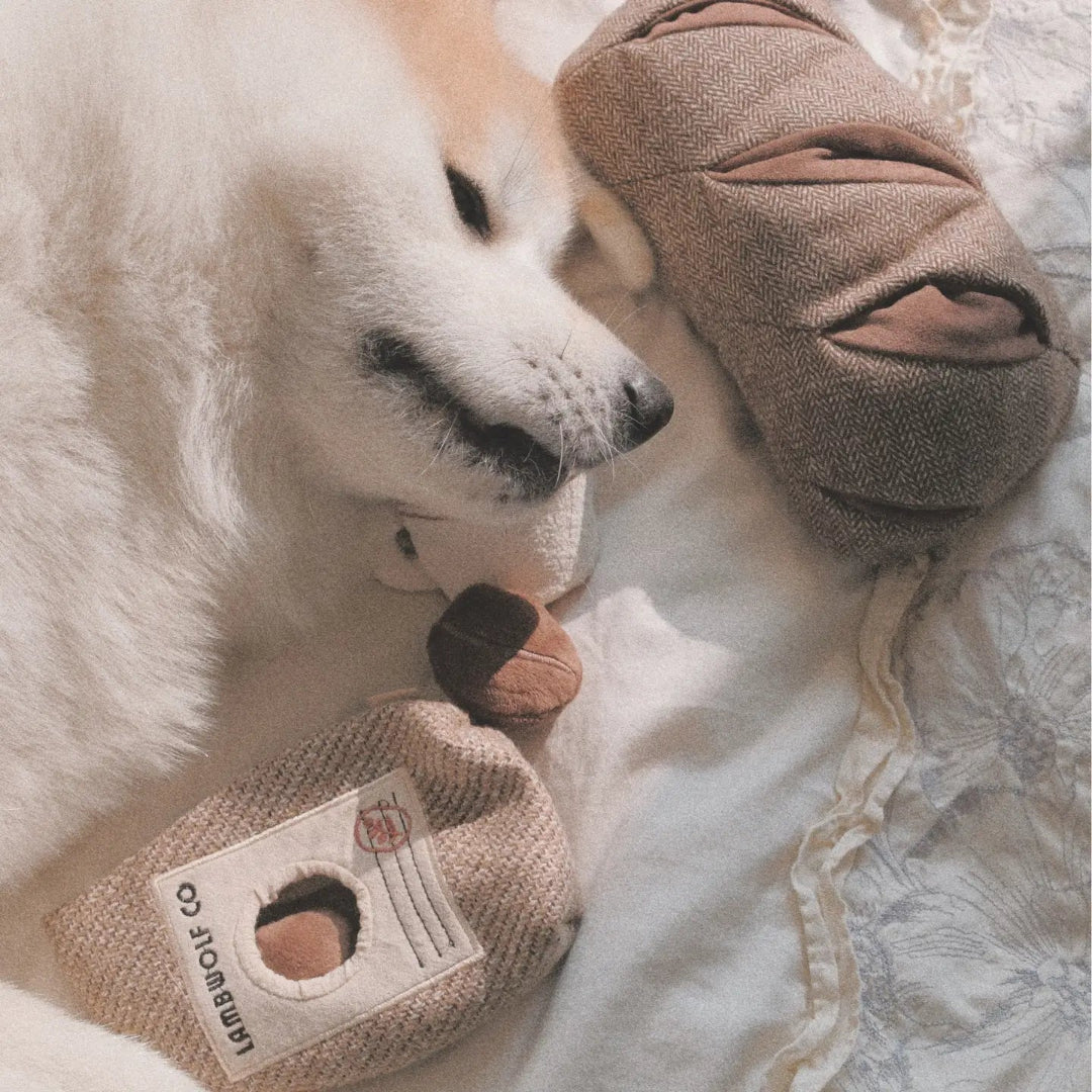 Coffee Beans//Enrichment Dog Toy