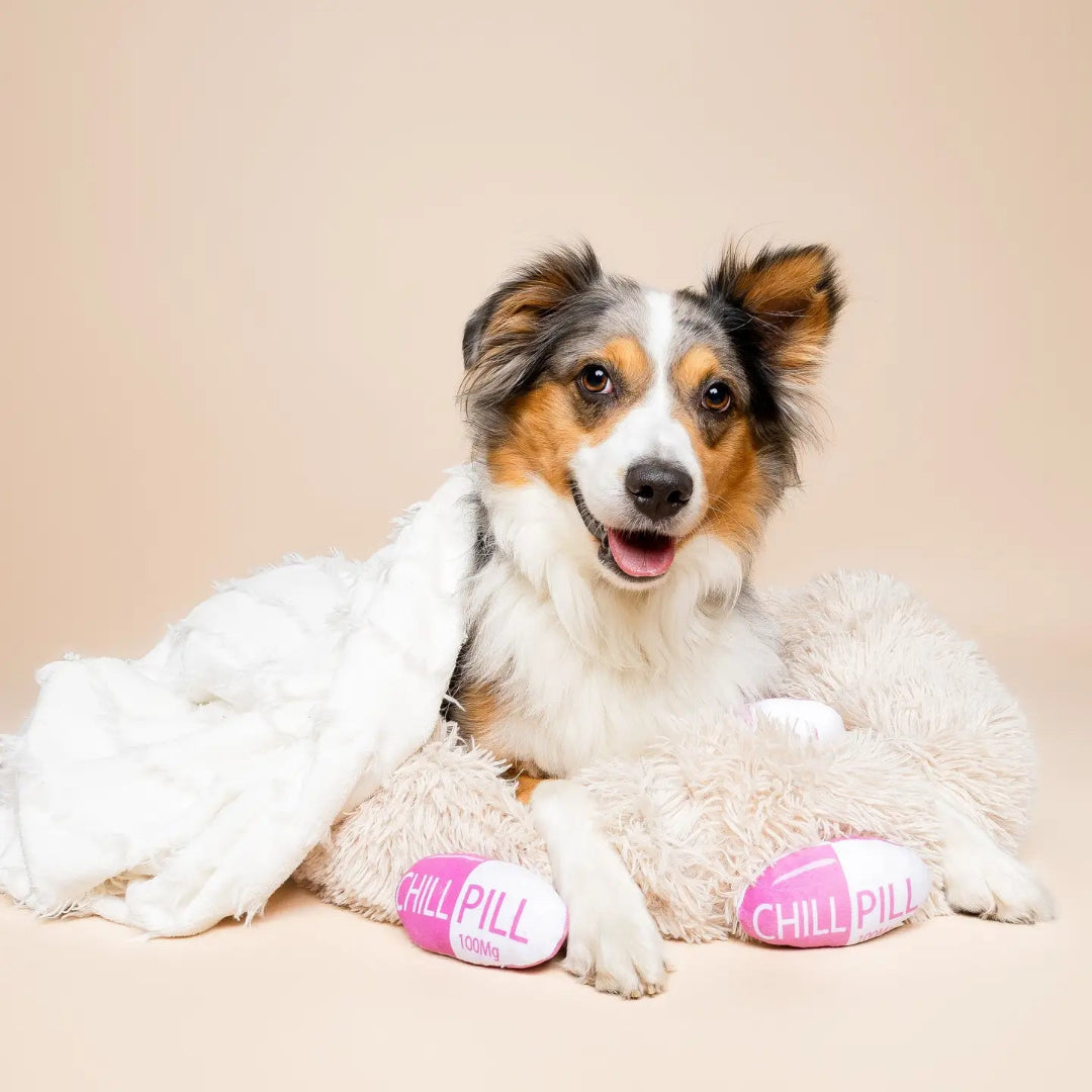 Chill Pill Dog Toy 5”