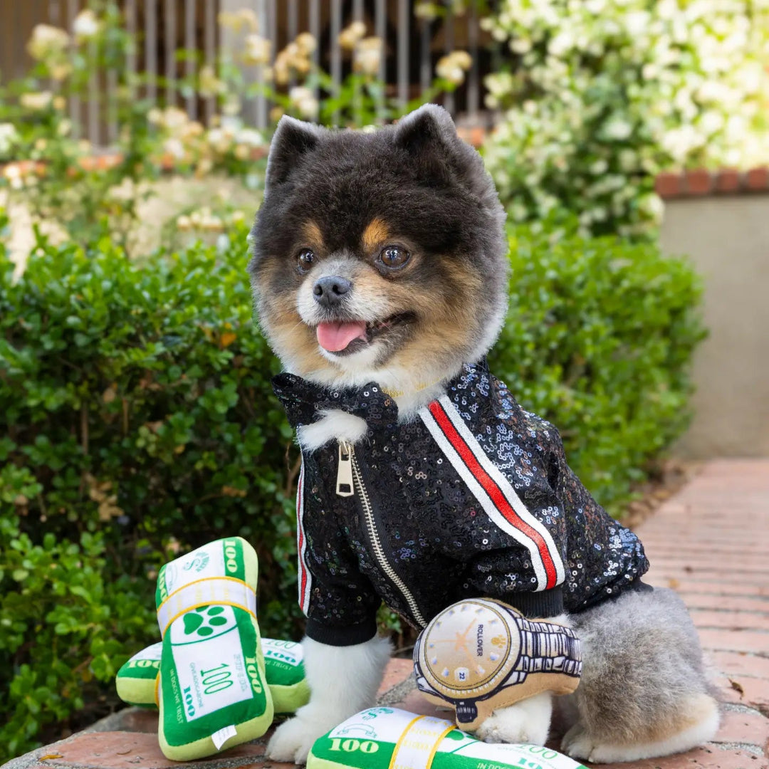 Bark Bucks Toy