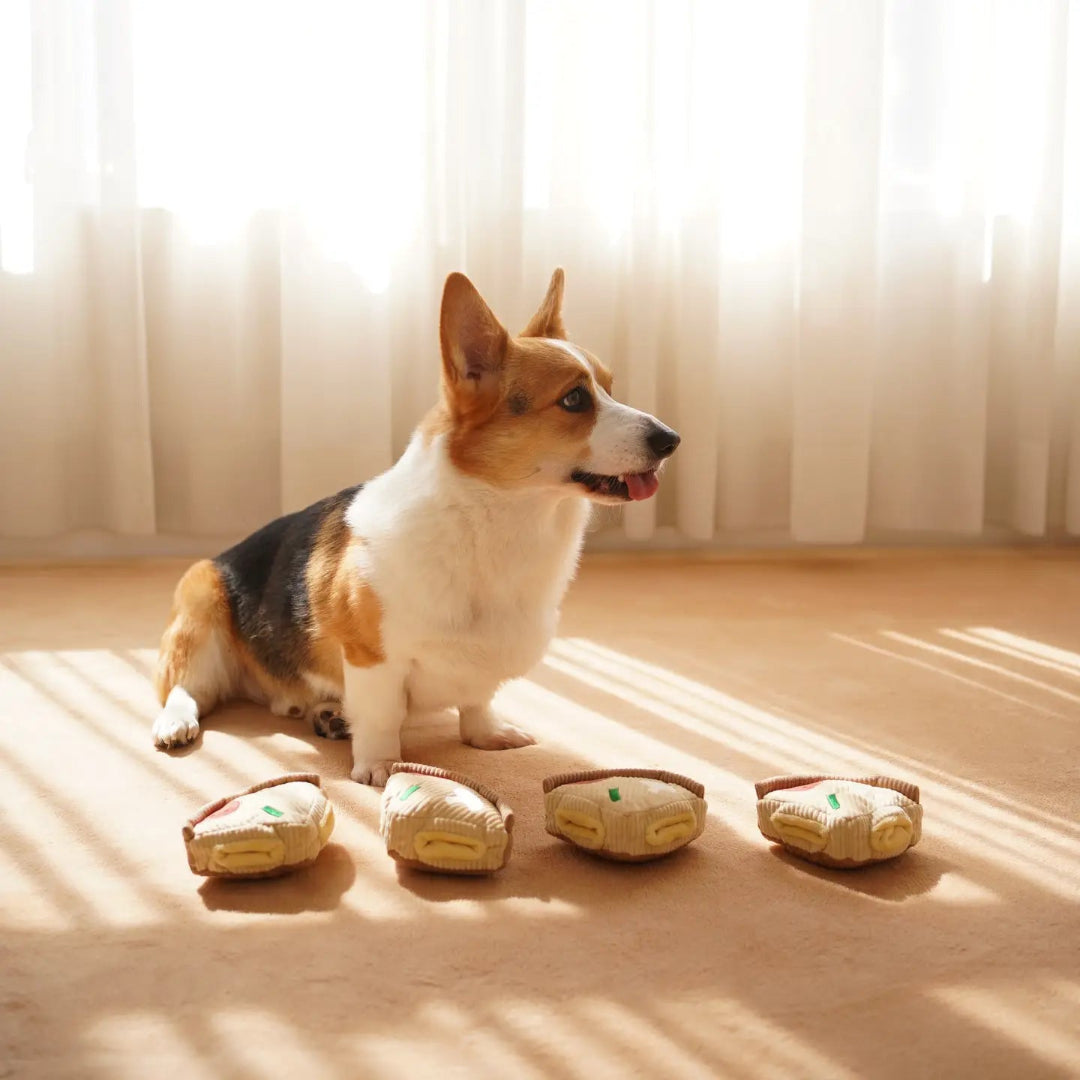 Deep Dish Pizza//Enrichment Dog Toy