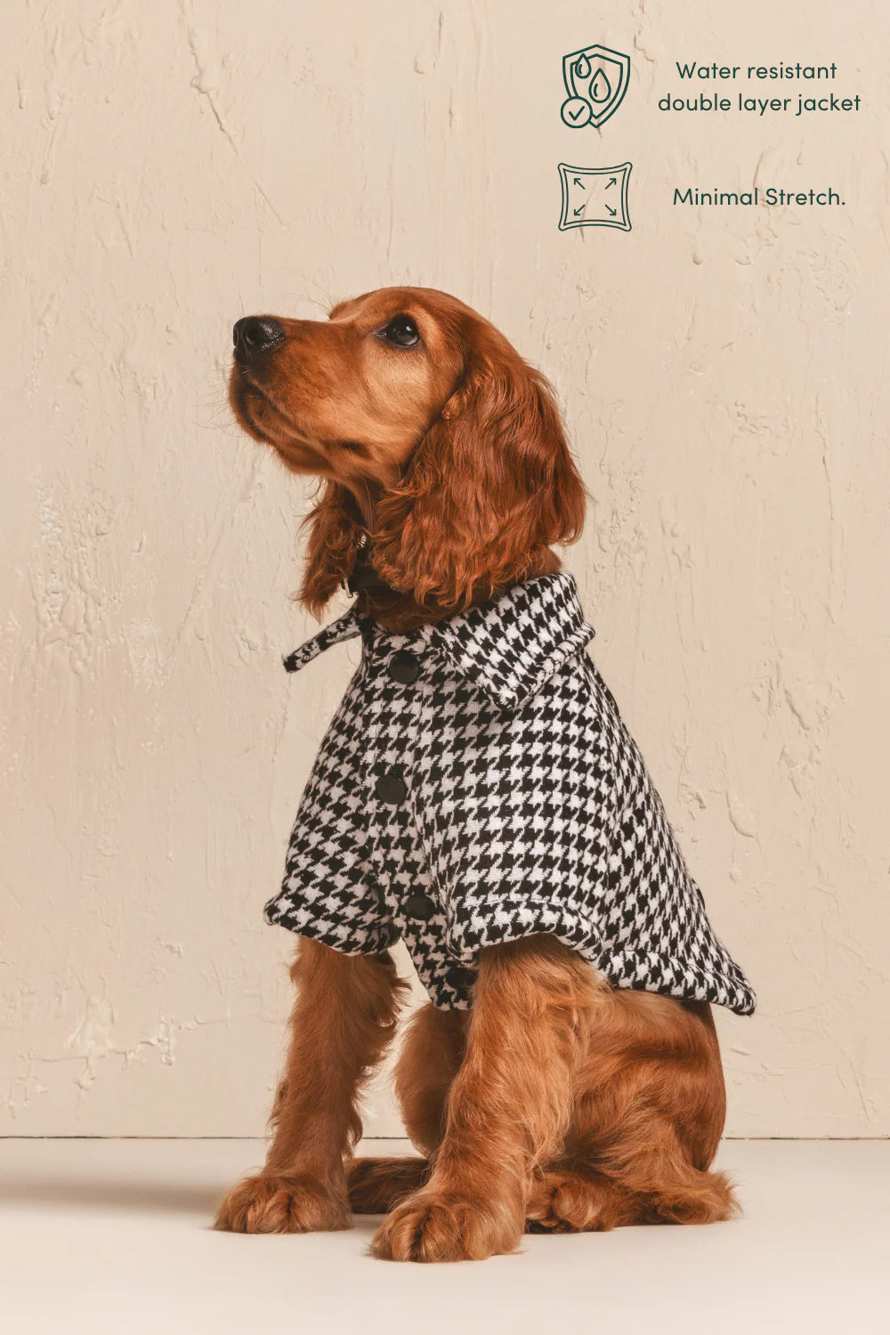 The British Are Coming Jacket