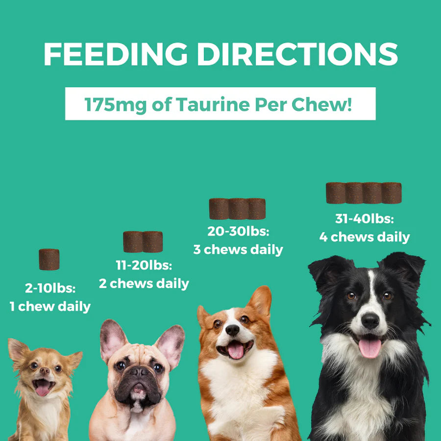 Nootie: Mini Soft Chew Supplements - Multivitamin