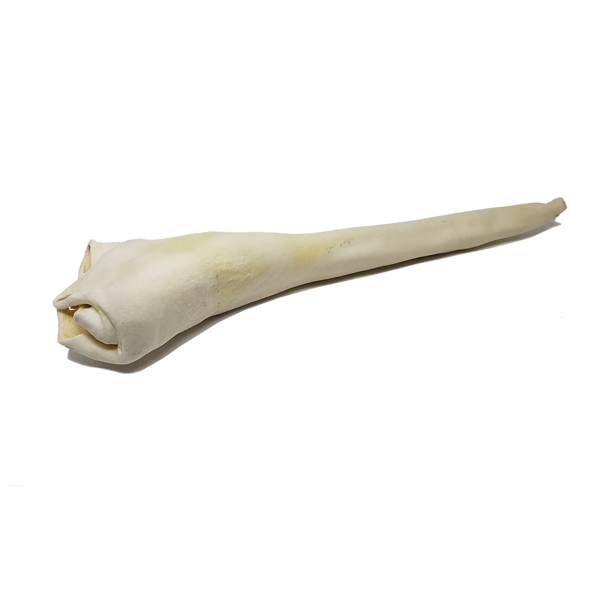 Home Range - Full Length Bull Tail
