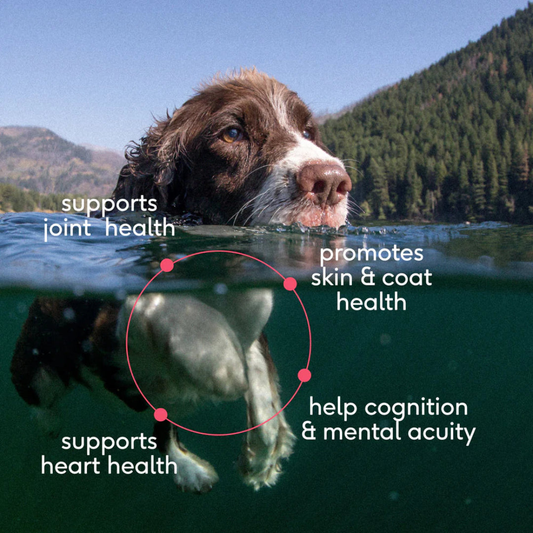 Native Pet - Sockeye Salmon Oil - Skin & Coat Health 8oz