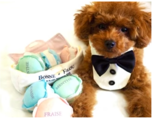 Bonne et Filou Macaron Dog Toy Set