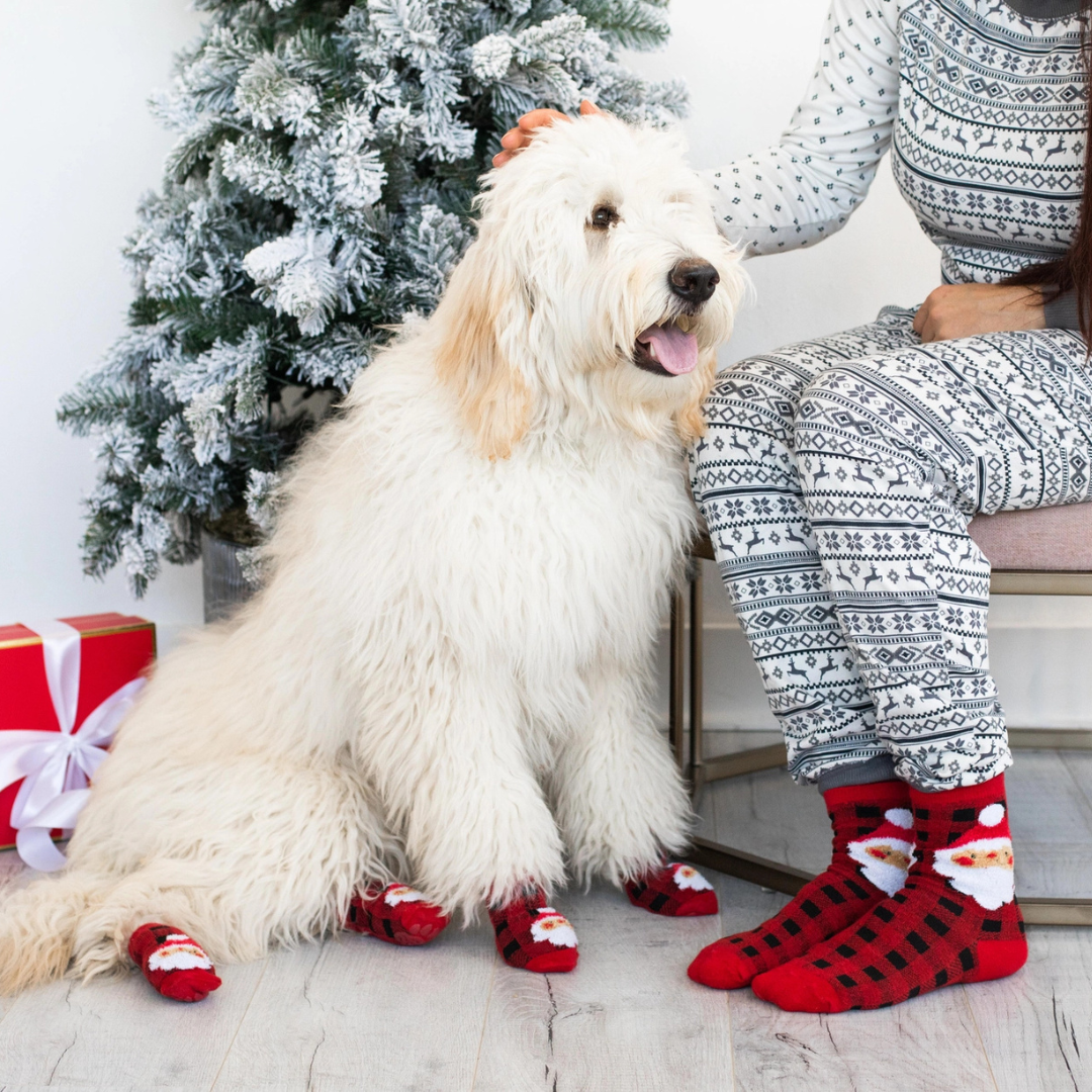 PearHead - Human and Dog Matching Christmas Sock Set, Santa