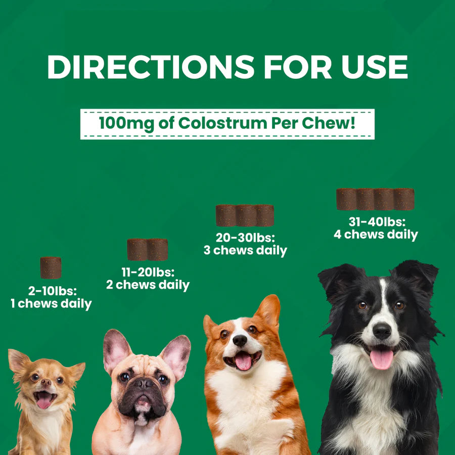 Nootie: Mini Soft Chew Supplements for Dogs - Allergy & Immune