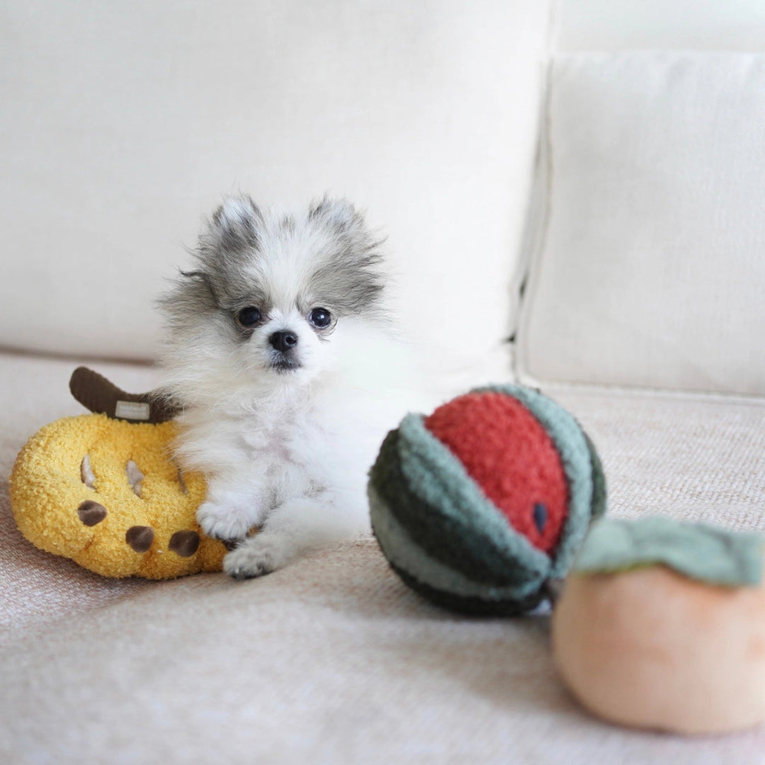 Watermelon Pop// Enrichment Toy Set// Snuffle Toy