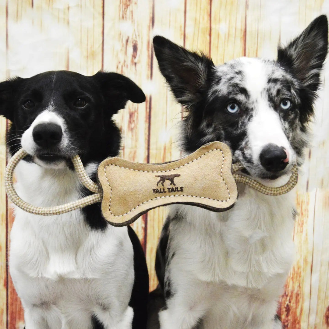 Tall Tails Natural Leather & Wool Bone Toy - 6"