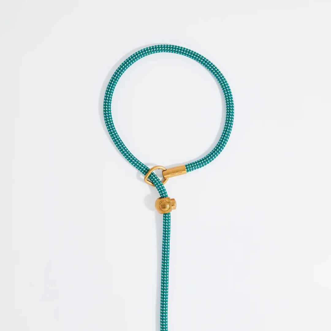 Mini Agave Confetti Simple Slip Lead™