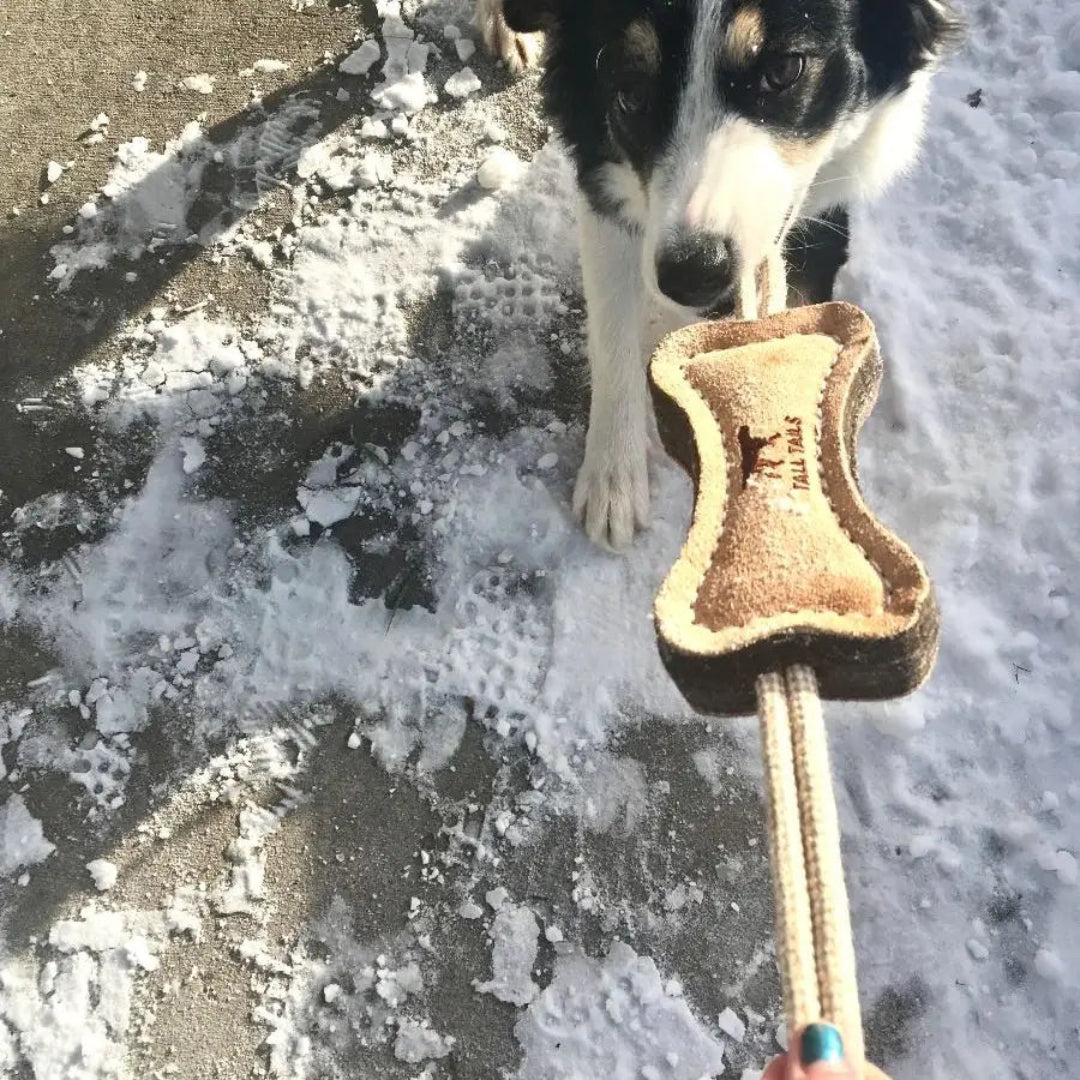 Tall Tails Natural Leather & Wool Bone Toy - 6"