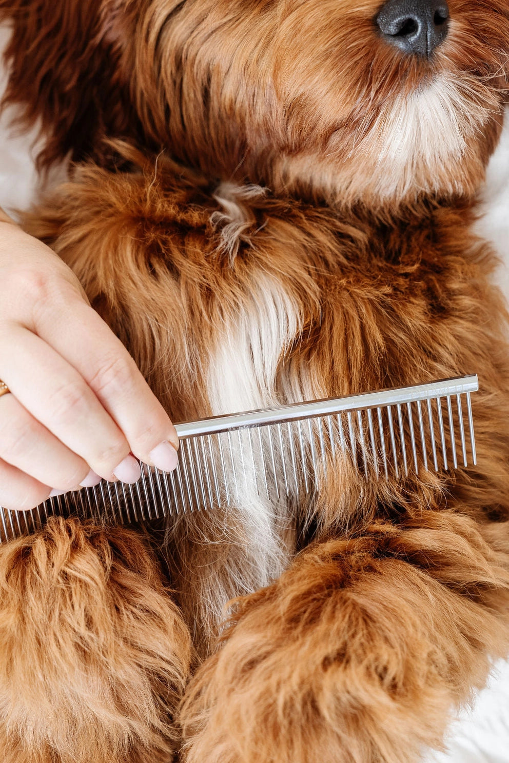 Everyday Comb