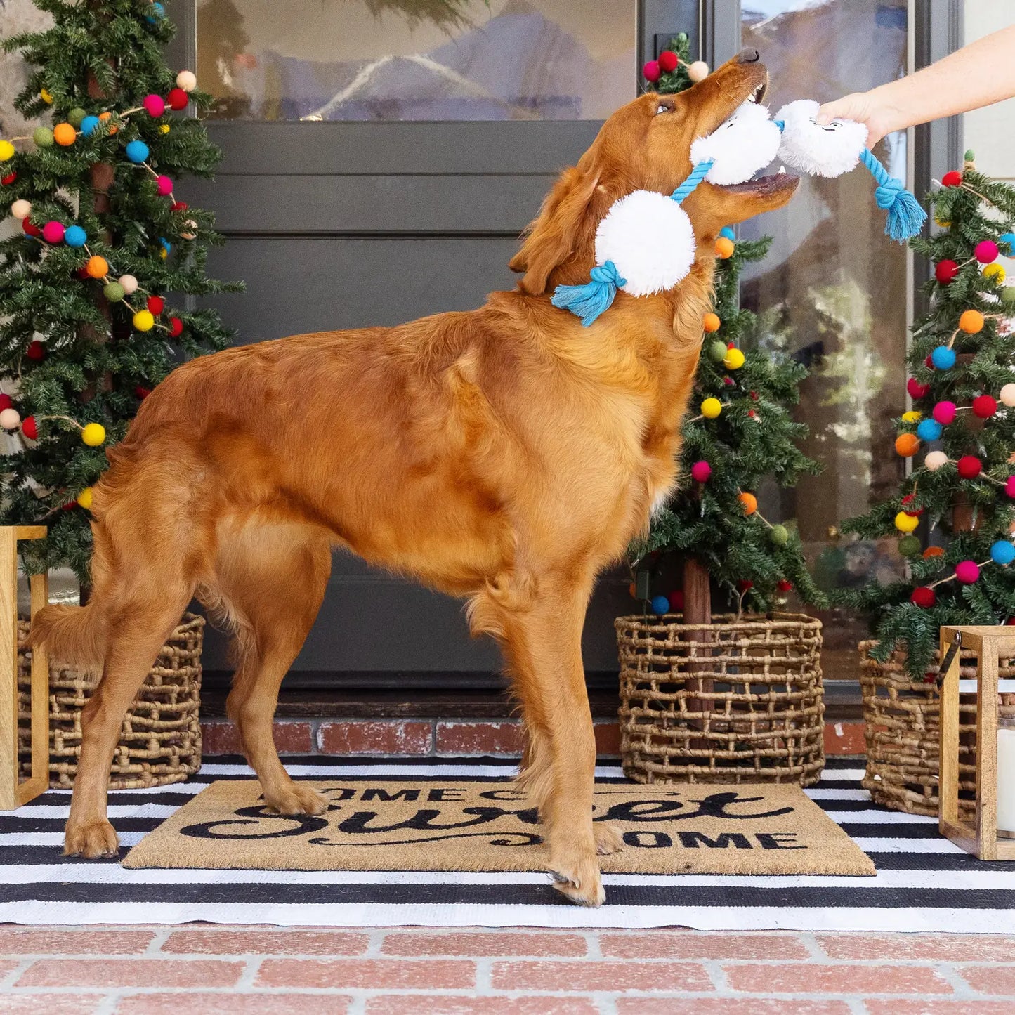 Fringe - Plush Dog Toy Snow Time For Fun