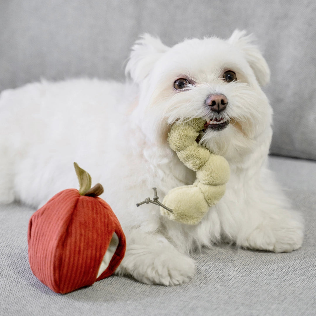Apple // Enrichment Toy Set// Snuffle + Burrow