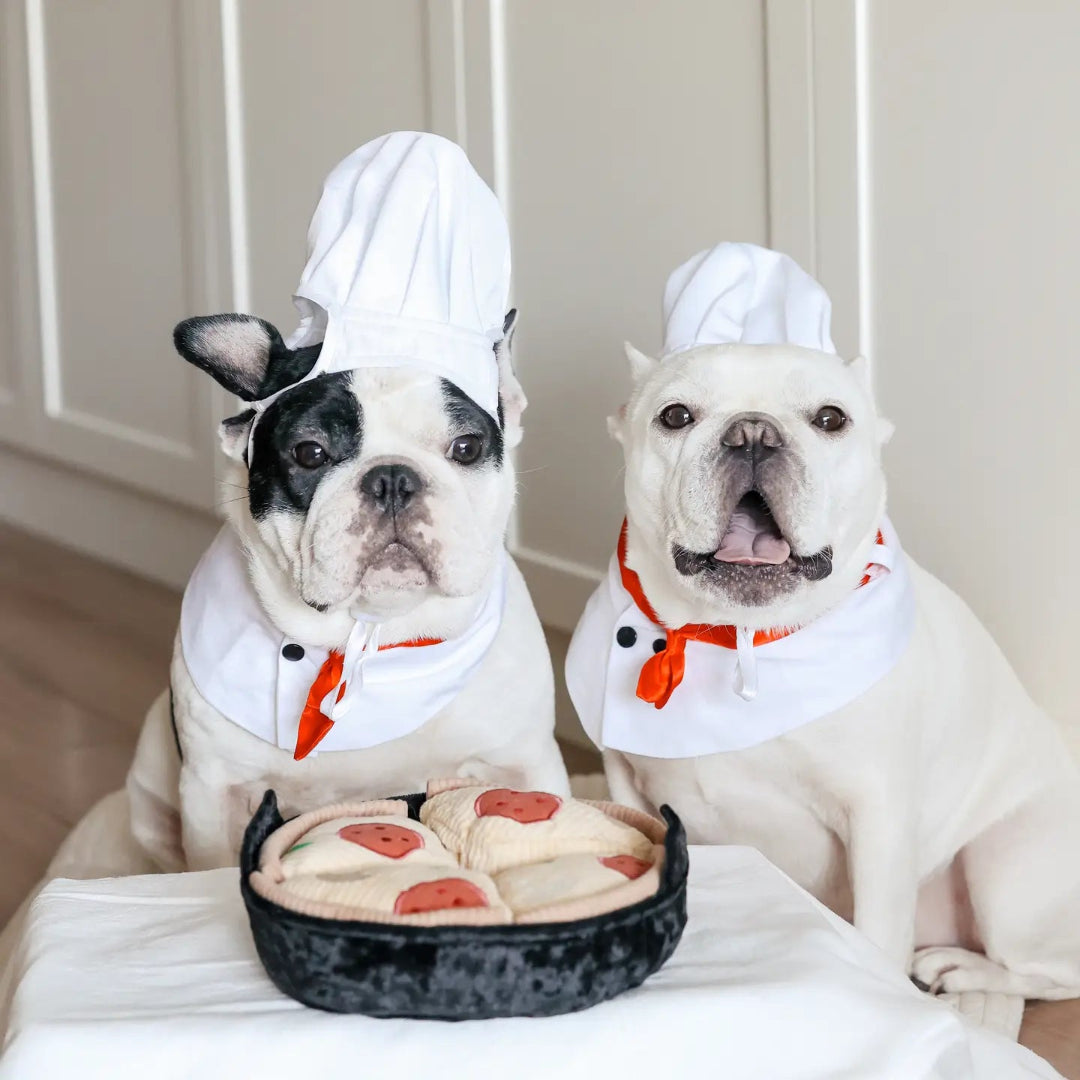 Deep Dish Pizza//Enrichment Dog Toy