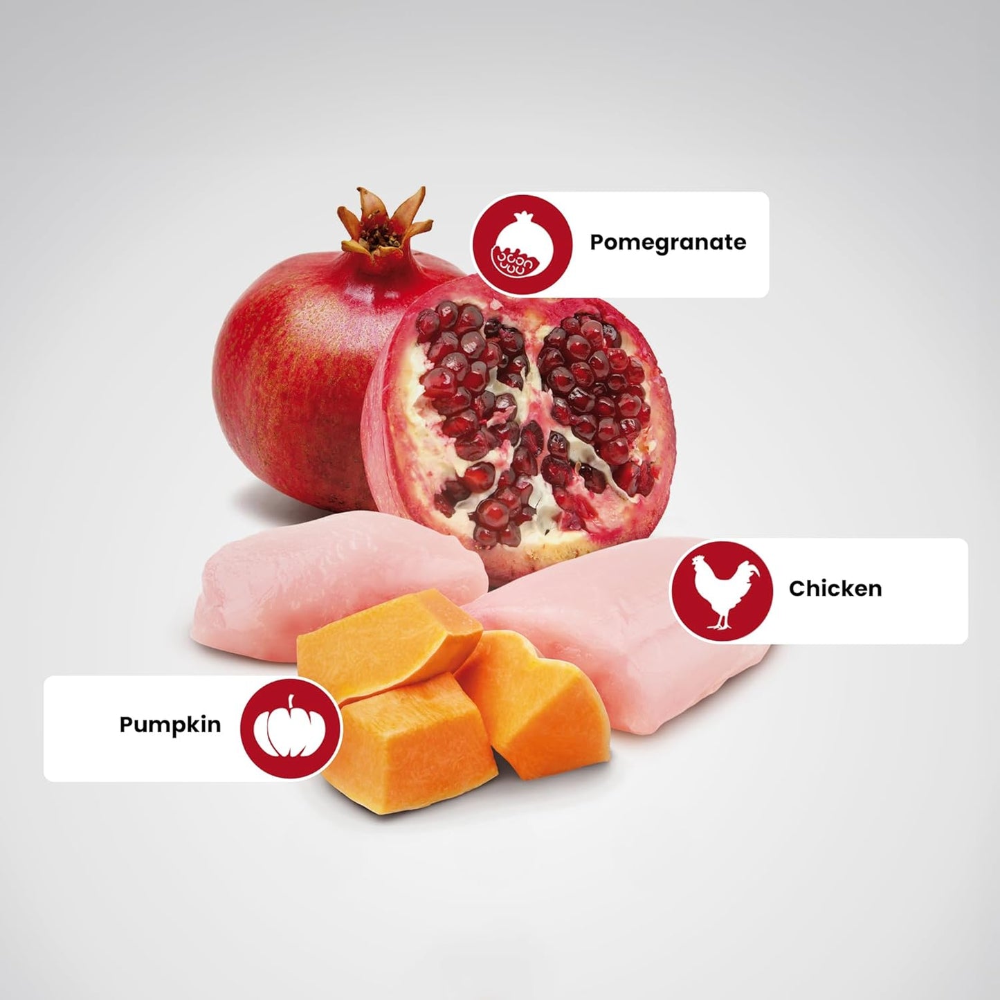 FARMINA N&D Pumpkin - Chicken and Pomegranate Adult Mini - Grain Free 5.5lb