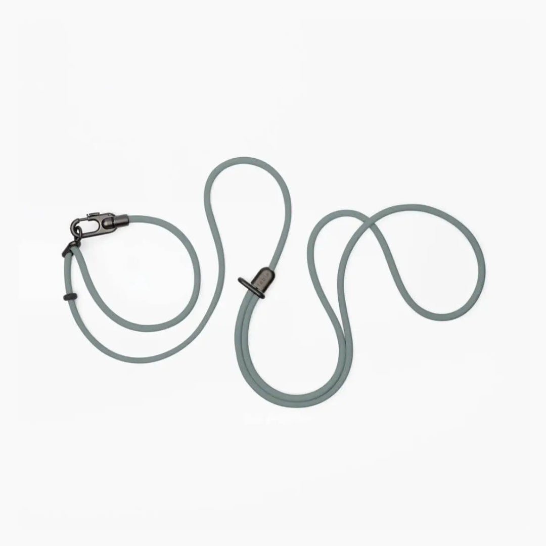 Magic Link Hands Free Dog Leash with Slip On Collar
