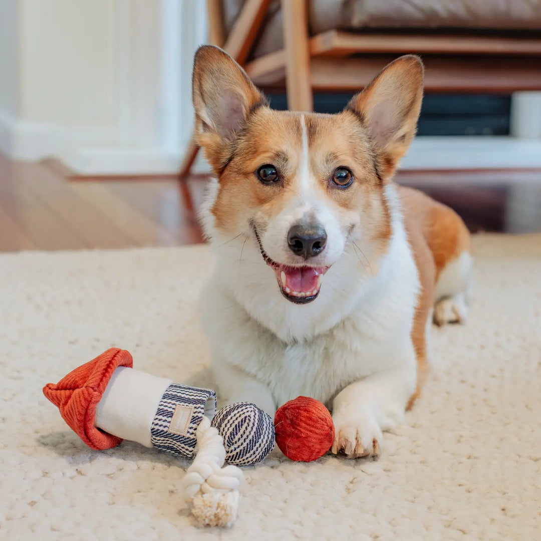 Rocket Confetti Pop// Enrichment Toy