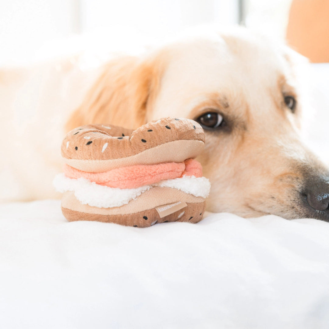 Bagel + Pickle//Enrichment Dog Toy