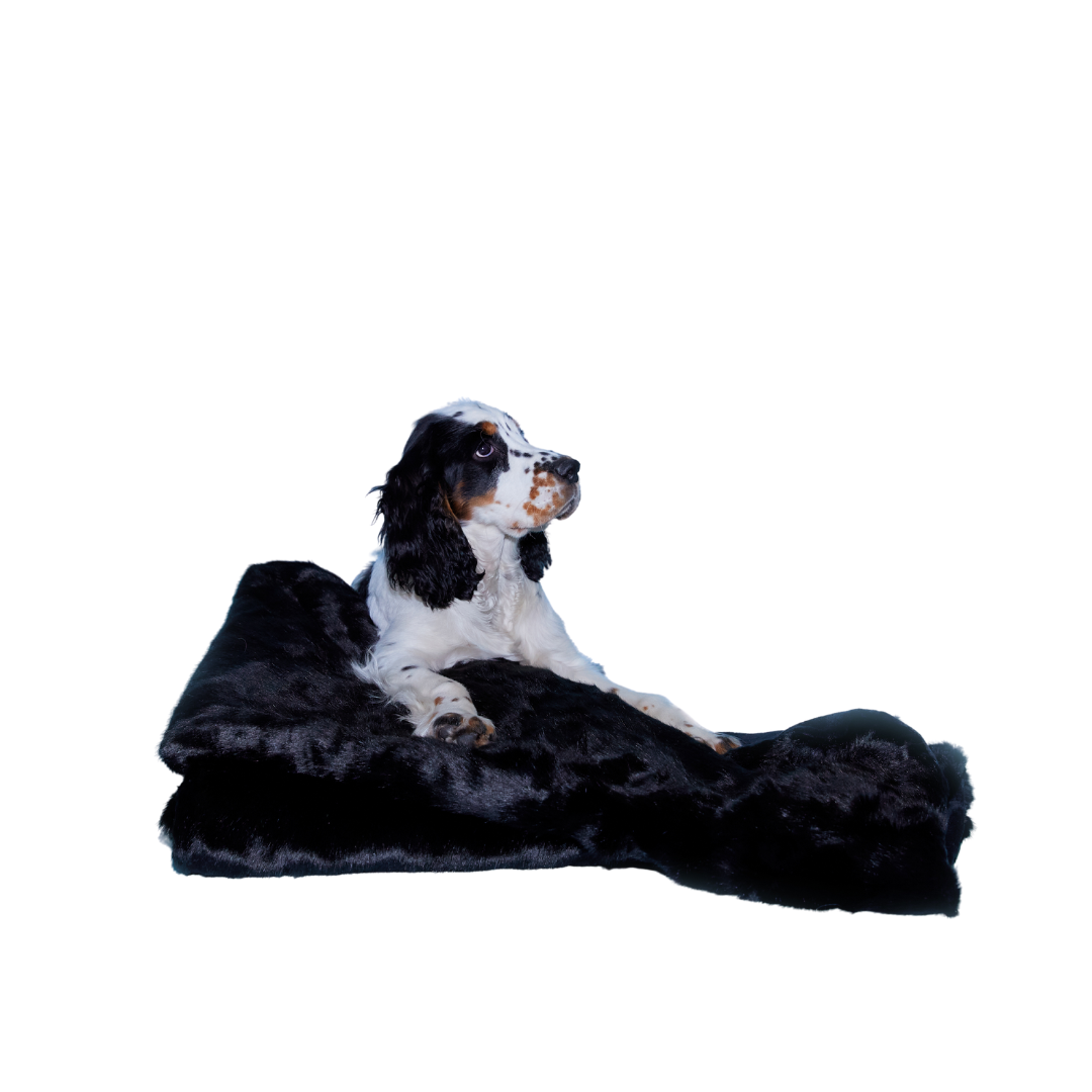 Faux Fur Blanket Now You're Clean