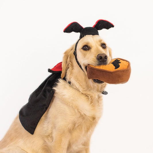 Halloween Costume Kit Dracula Zippy Paws