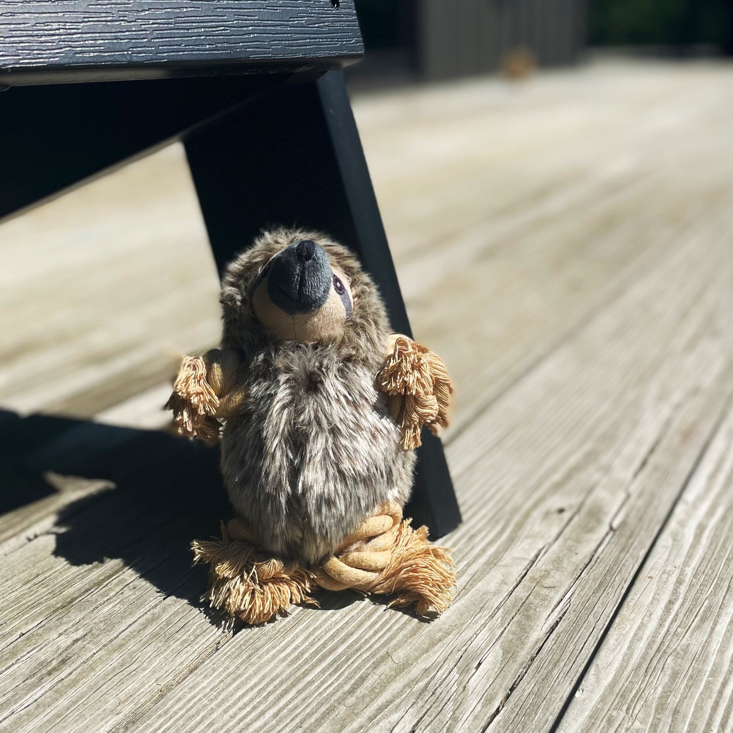 Sloth Plush Rope Toy