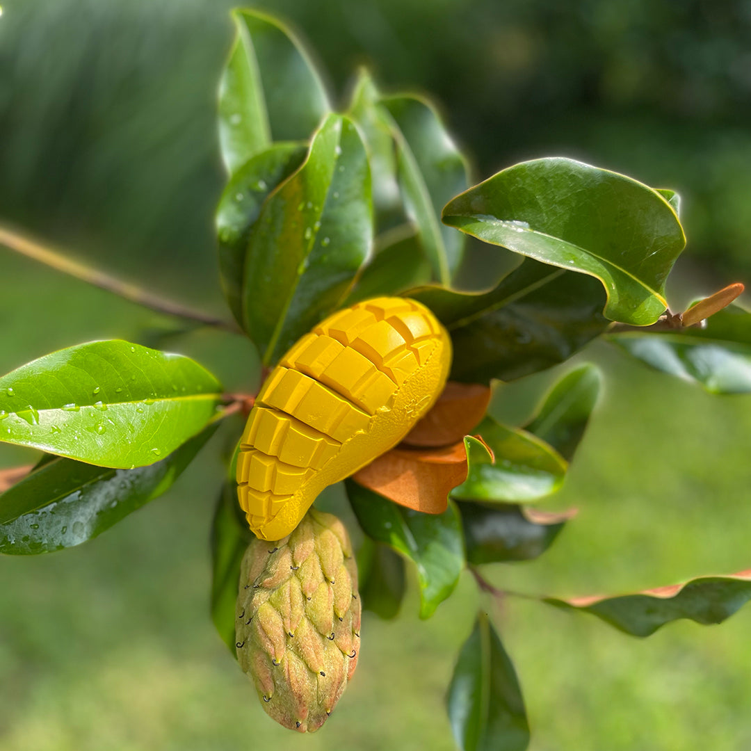 Mango Chew Toy