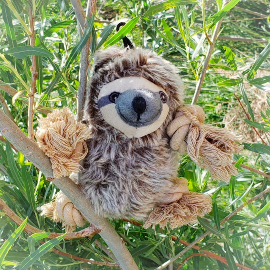 Sloth Plush Rope Toy