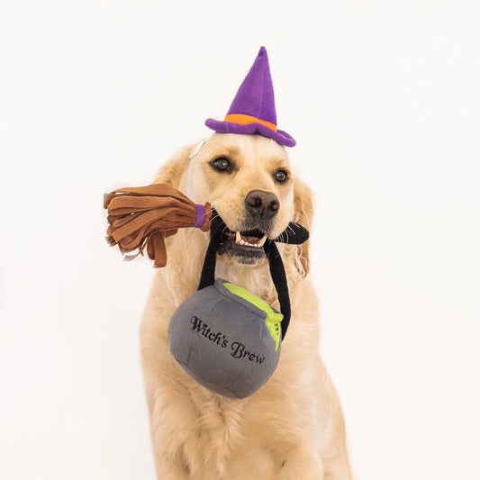 Halloween Costume Kit Witch ZippyPaws