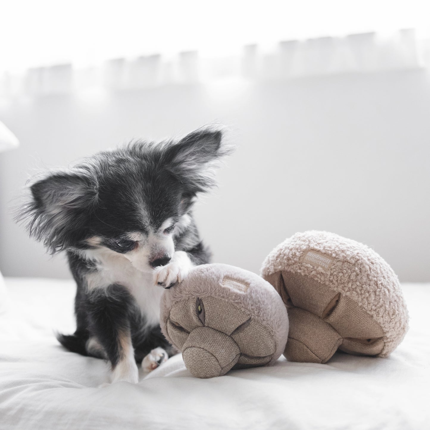 GUU Mushroom Nosework Toy