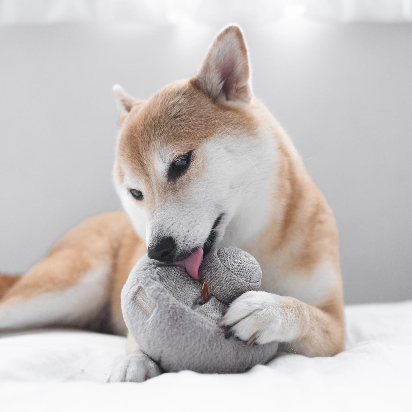 GUU Mushroom Nosework Toy