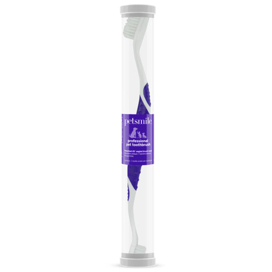 Tooth Brush