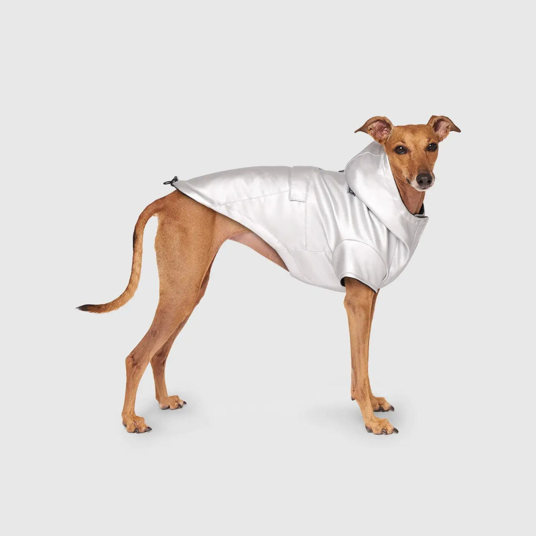 Cold Front Raincoat- Dog Raincoat