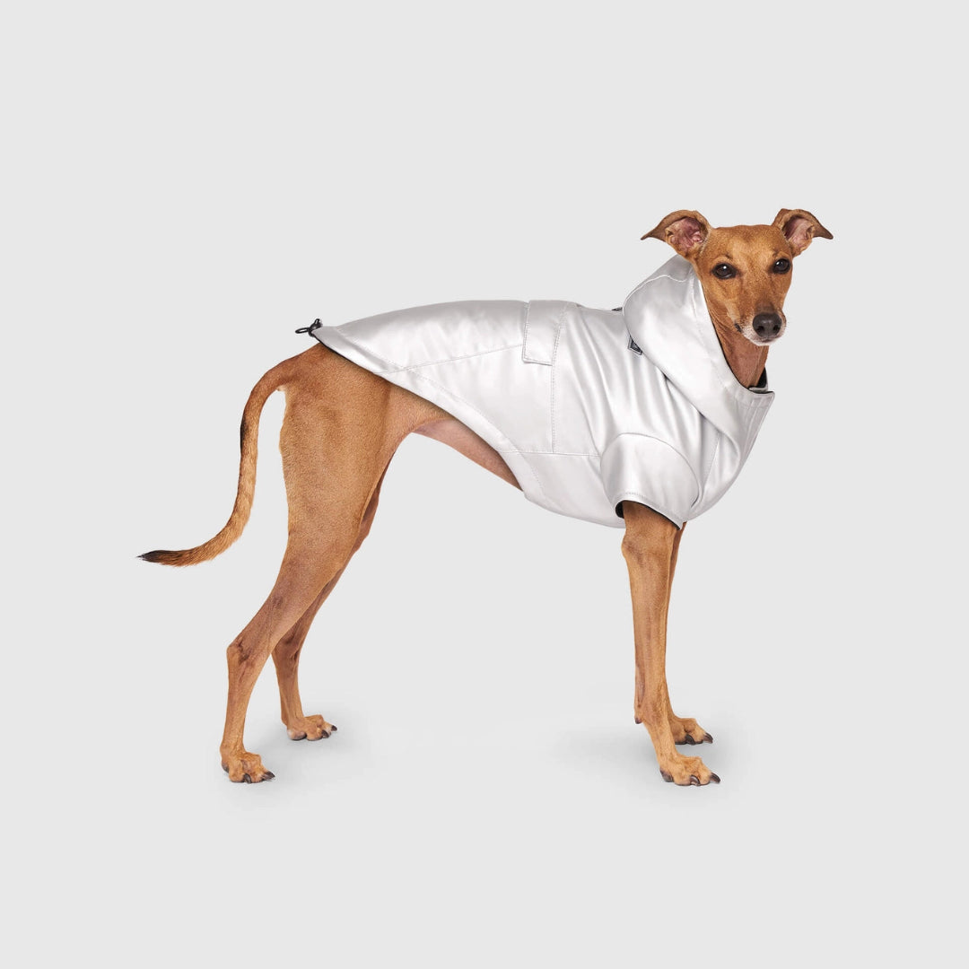 Cold Front Raincoat- Dog Raincoat