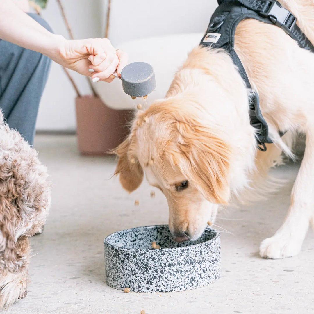 Salt & Pepper Ceramic Dog Bowl